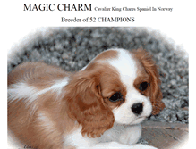 Tablet Screenshot of magic-charm.com